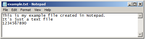 Notepad example.txt